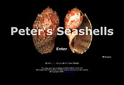 (Peter's Seashells)